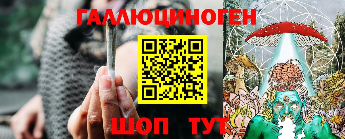 Галлюциногенные грибы прущие грибы Краснознаменск
