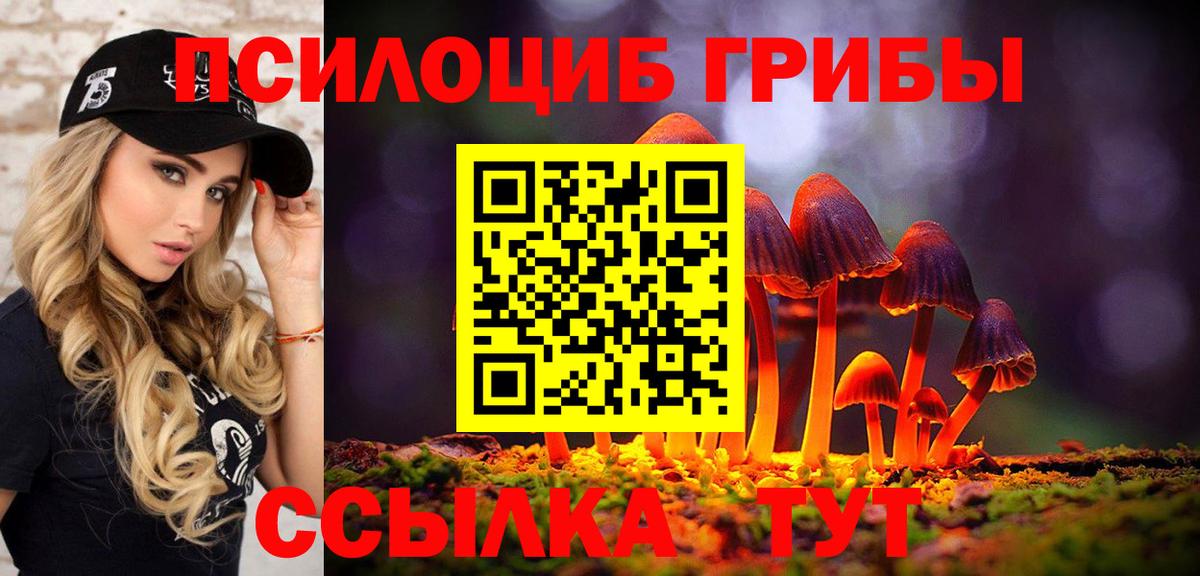 Галлюциногенные грибы прущие грибы  Галлюциногенные грибы прущие грибы  Краснознаменск  Вход с VPN 